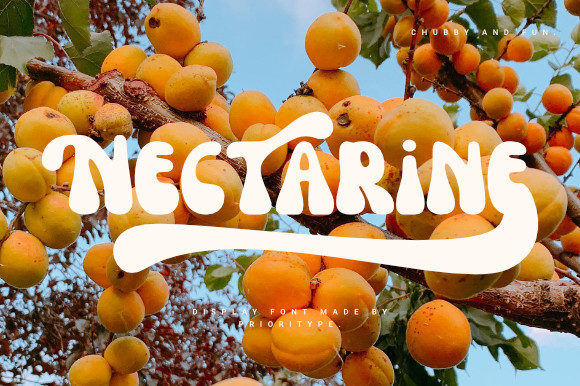 Nectarine: A Cool Retro Display Font for Modern Creators