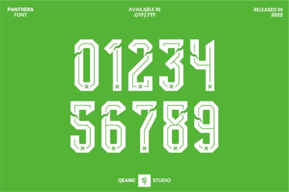 Panthera: A Modern Typeface for Sports and Speed